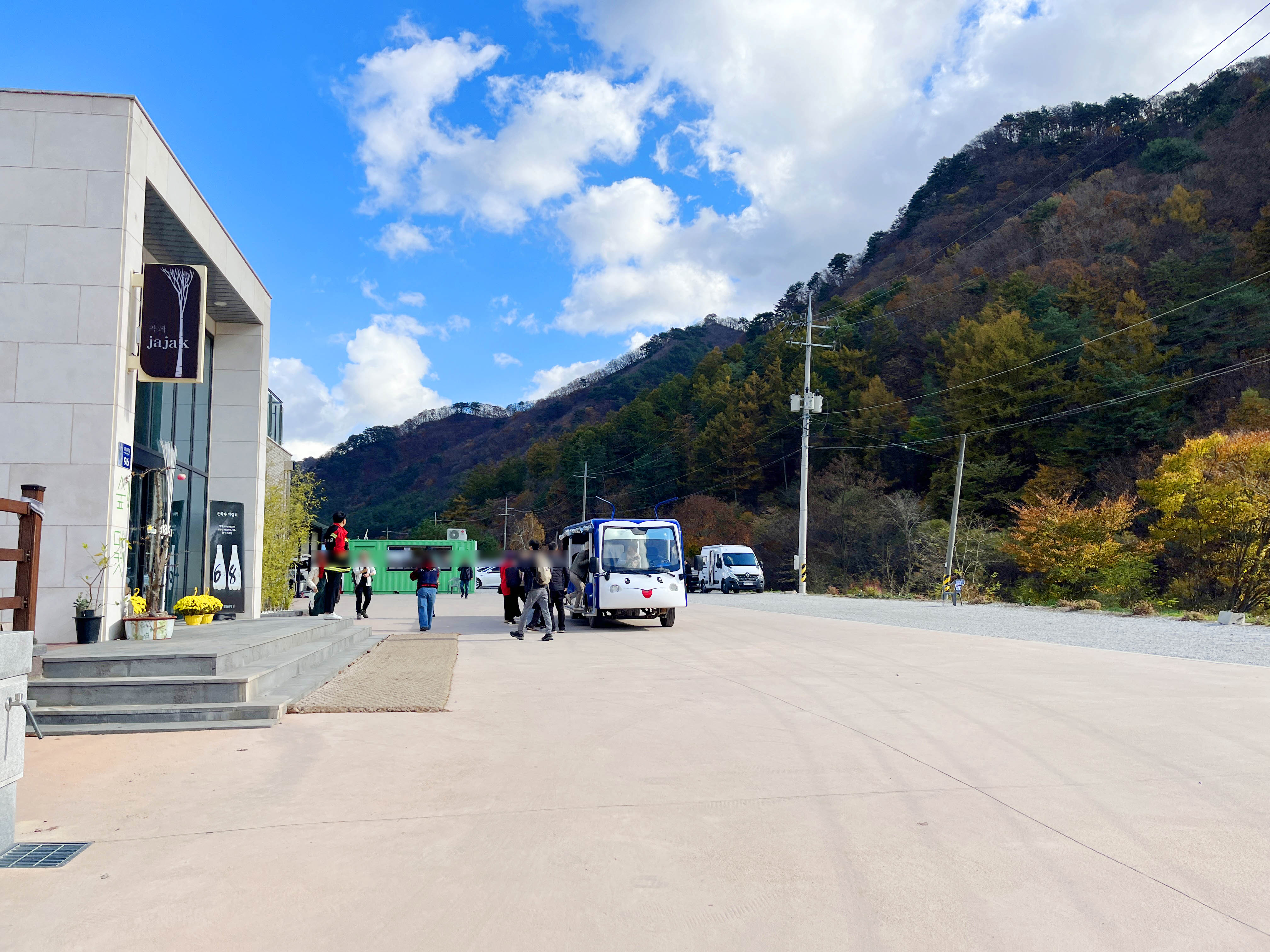 영양 자작나무숲