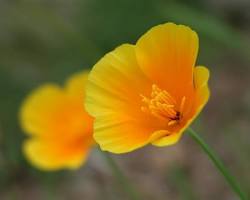 금영화 이미지 사진