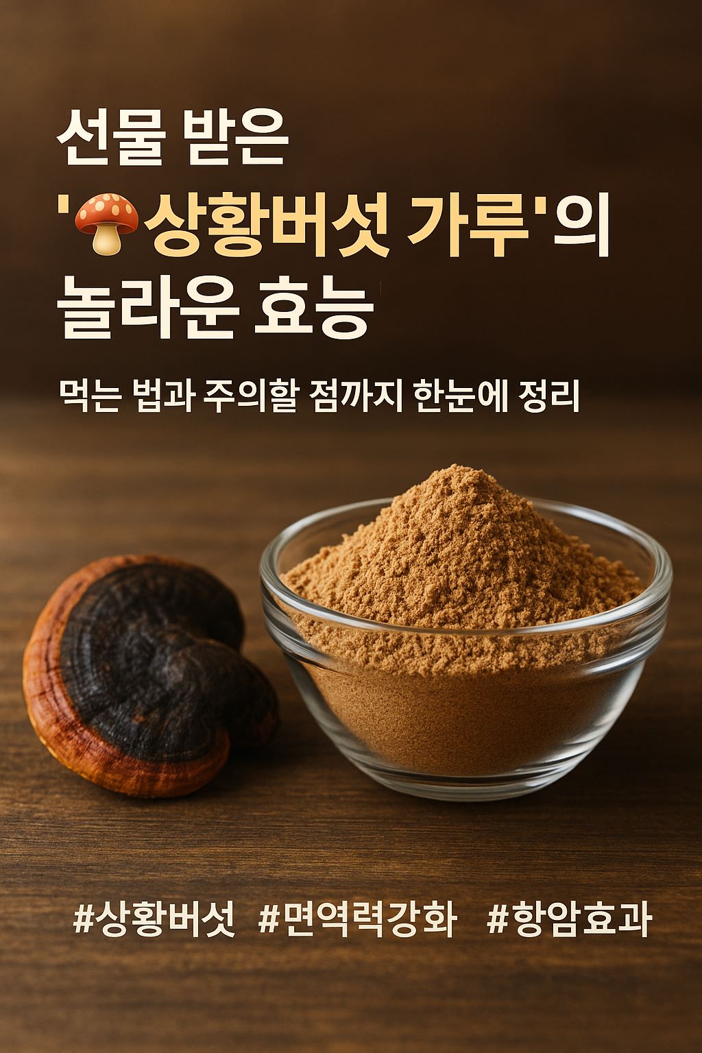유리볼에 담긴 상황버섯 가루와 건조된 상황버섯, 효능과 먹는법을 강조한 건강 정보 배너 이미지