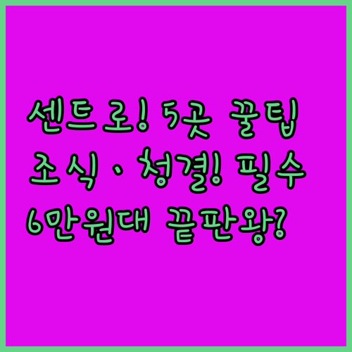멕시코시티 센트로 히스토리코 6만원대..