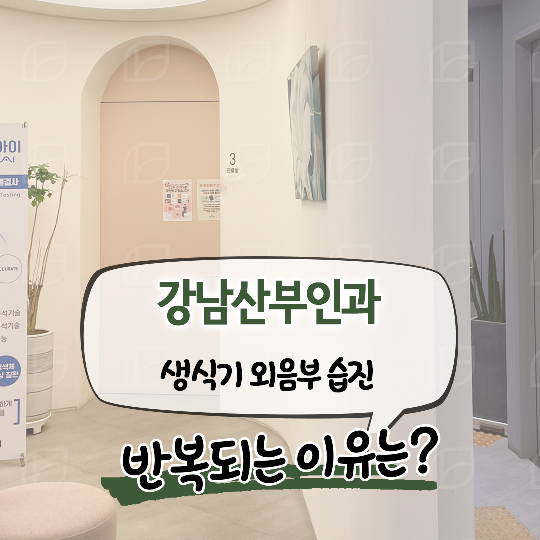 강남산부인과 생식기 외음부 습진 반복되는 이유는?