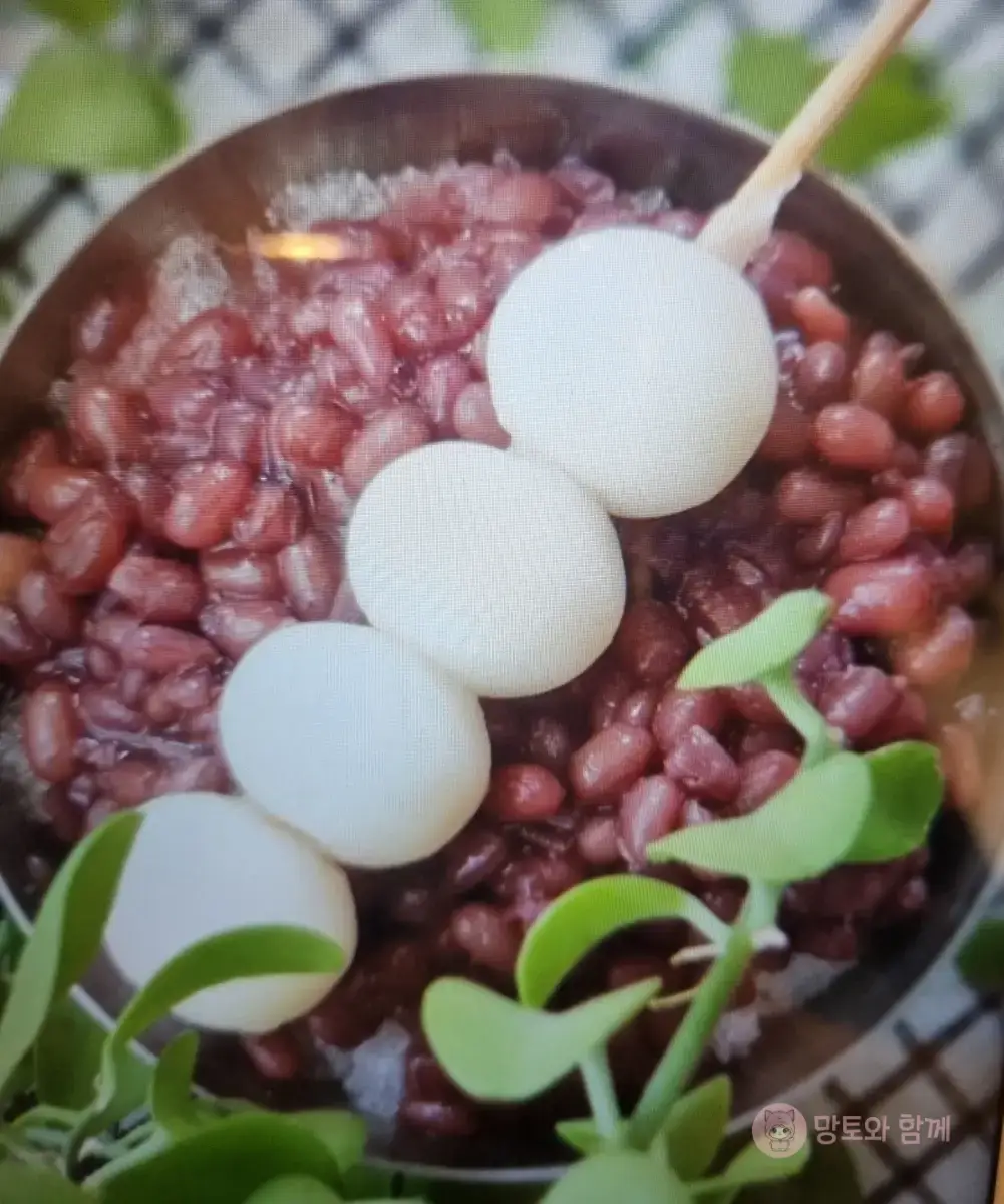 당고-팥빙수