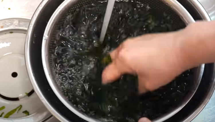 2024 정월 대보름 파래 무침 레시피 소개 및 파래 