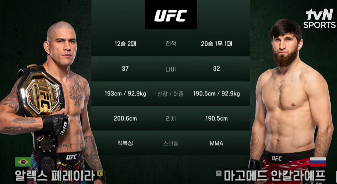 알렉스 페레이라 vs 마고메드 안칼라예프