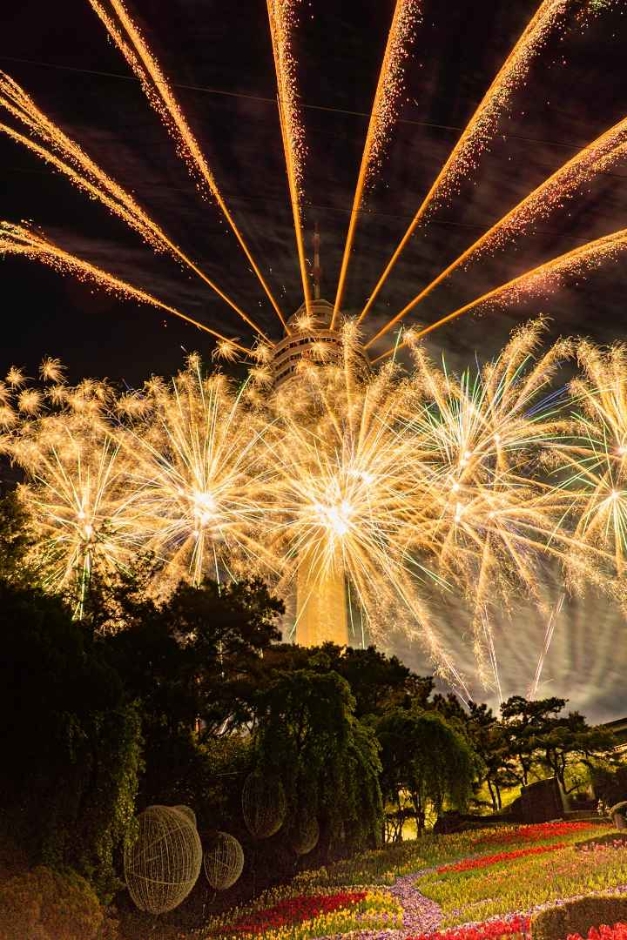 10월 지역 축제 가을 축제 정보