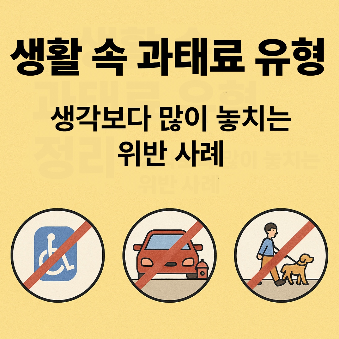 생활속과태료유형