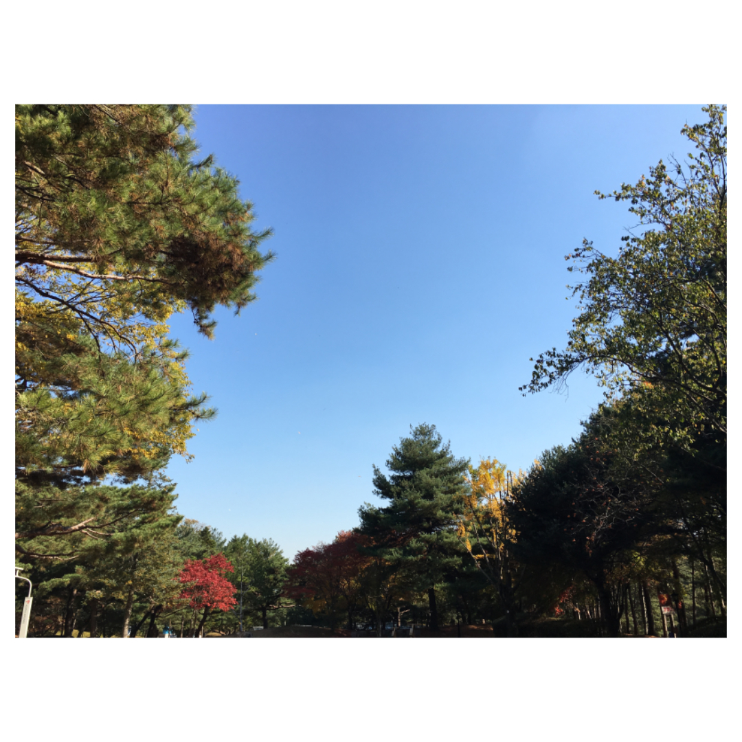 여주와 관련된 사진입니다.