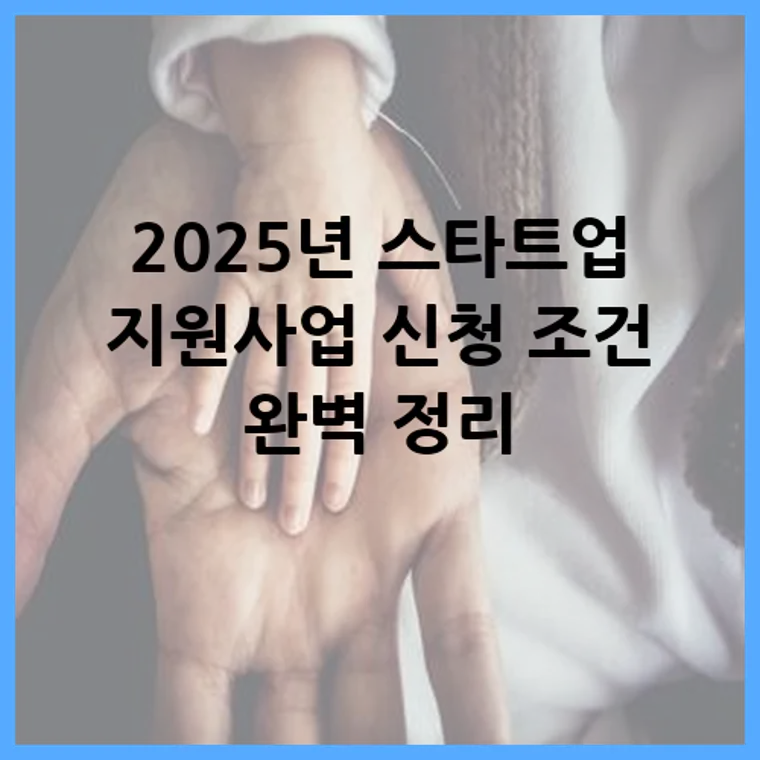 2025년 스타트업 지원사업 신청 조건 완벽 정리