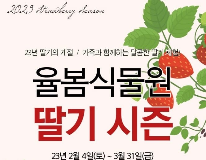 율봄식물원 딸기 시즌