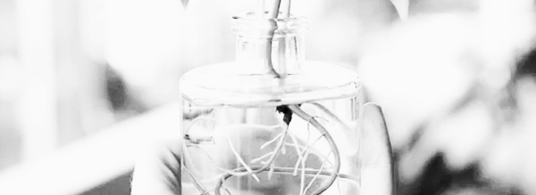 일부만 물에 잠그는 것