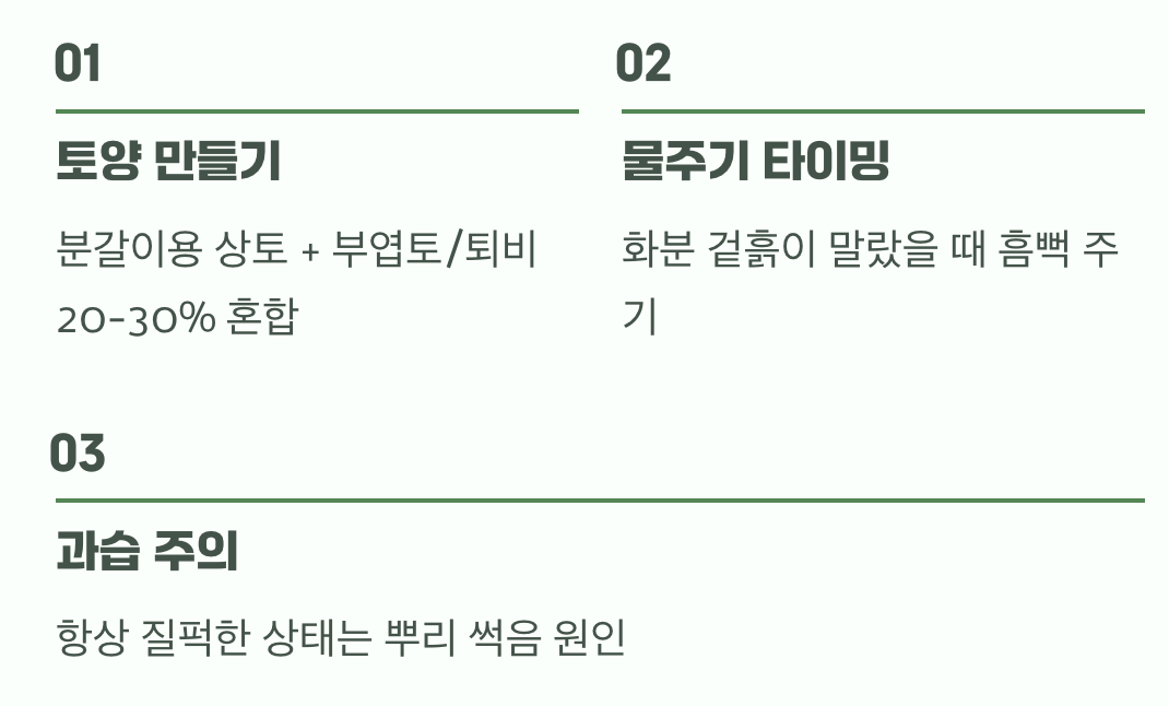 까다롭지 않은 흙과 물주기