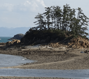 전북군산선유도가는방법_여행코스