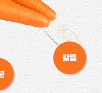 당근의 효능