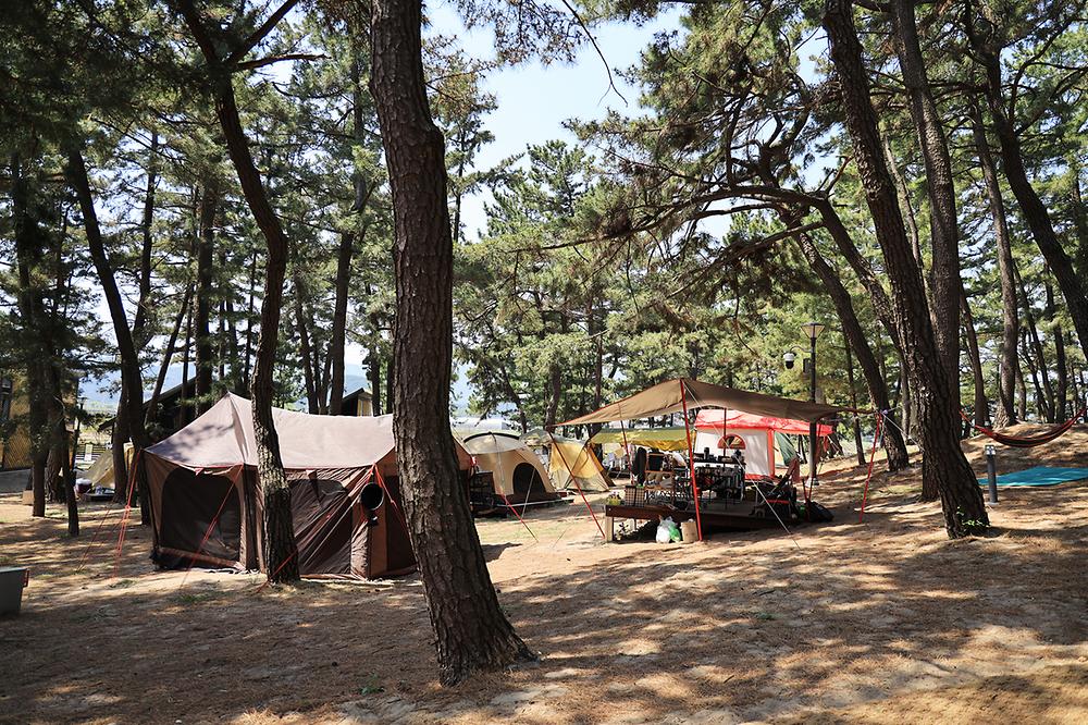 강원도 삼척 맹방비치캠핑장 소개