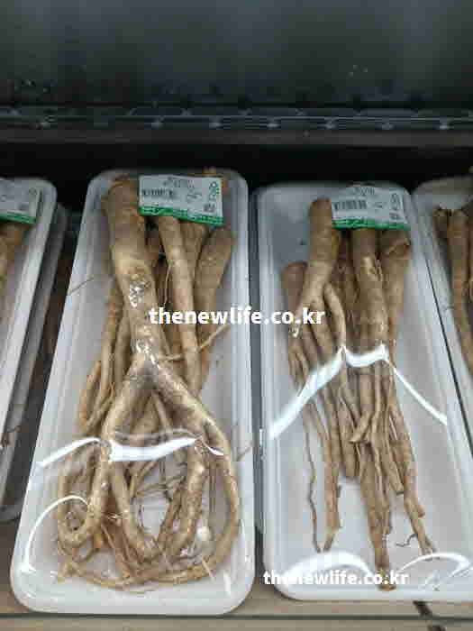 도라지 효능 먹는 법 배 꿀