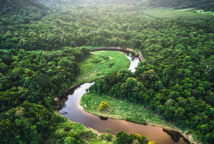 의성군 공익직불금 신청방법 및 기간(농업보조금 자격)