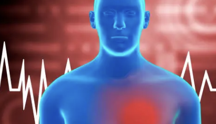 담낭염의 증상 37