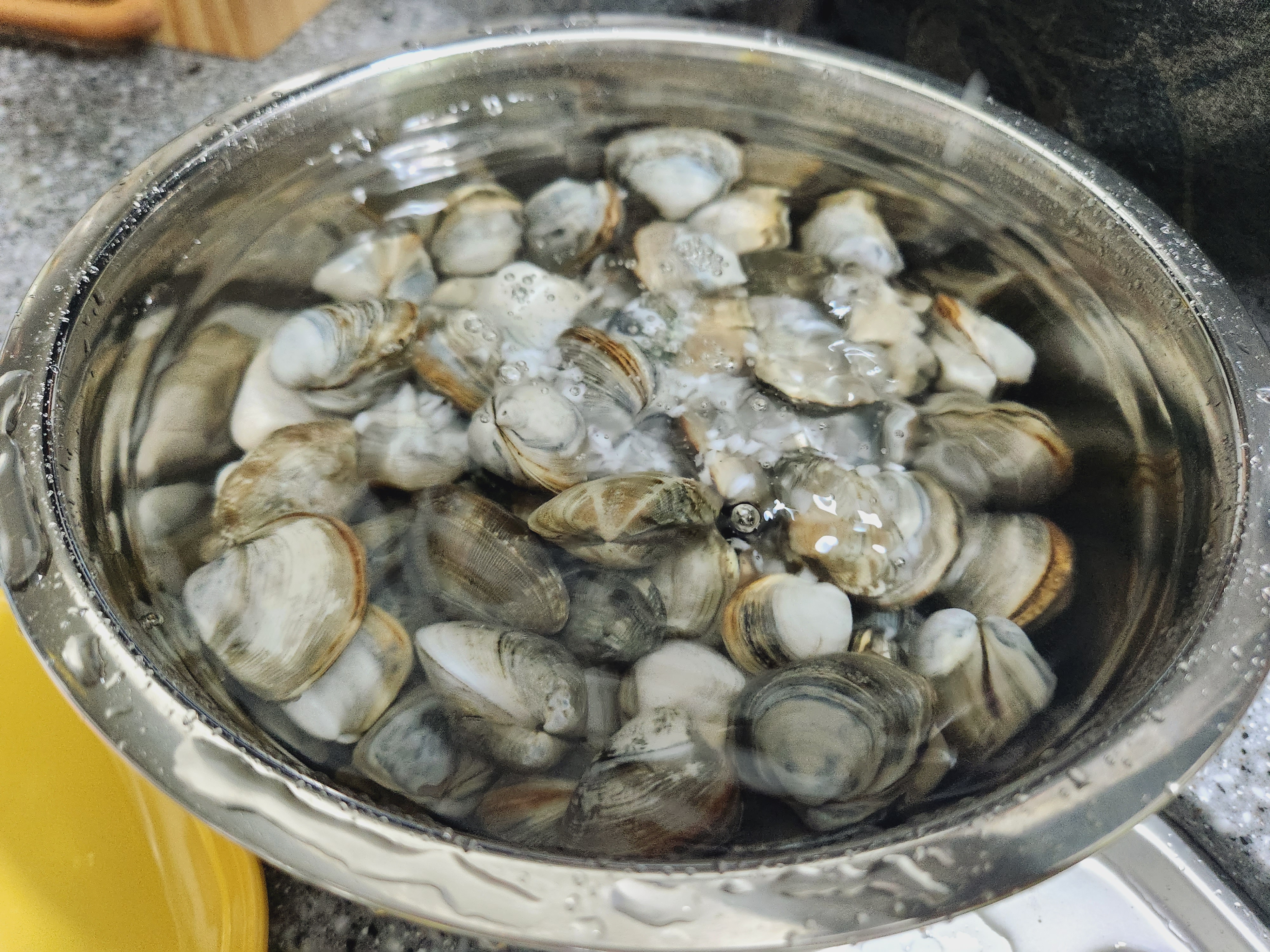 조개 바지락 꼬막 해감하는 방법 해감시간&amp;#44; 조개 요리 모음