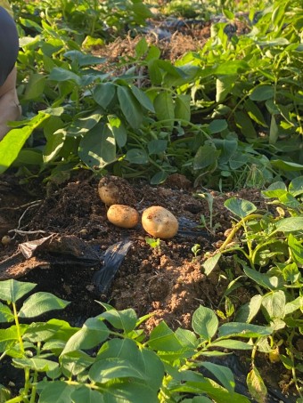 공익직불금 신청하기