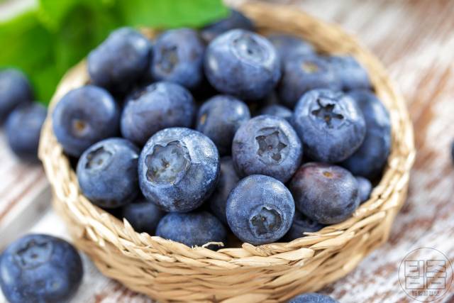 신장에 좋은 음식,신장 기능 저하에 좋은 과일 블루베리 효능