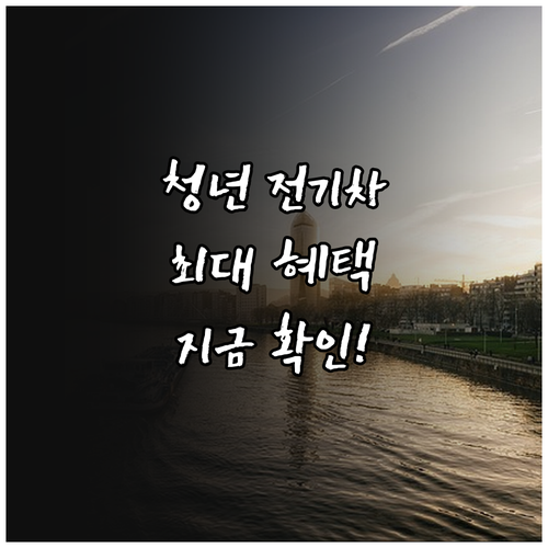 청년 전기차 구매 혜택 정리 국고보조..