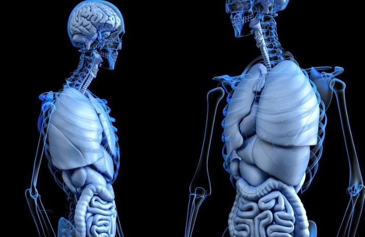 소화불량이란 무엇인가?