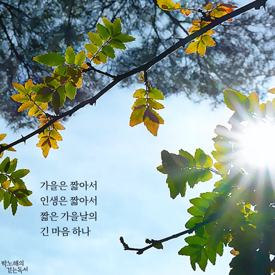 가을 시 모음 5편 추천 선별_4