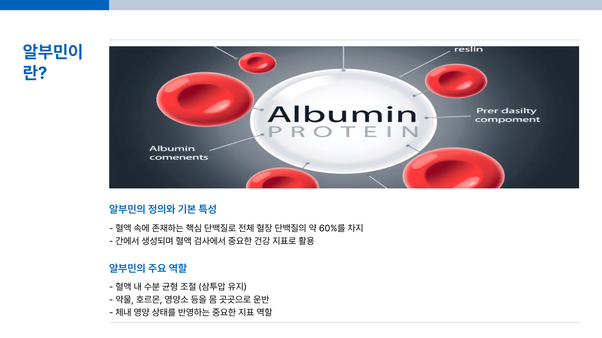 알부민의 효능 ❘ 알부민 영양제 ❘ 알부민 복용 ❘ 알부민 수치 등 알부민의 모든 것 총정리(충격적 진실 포함)