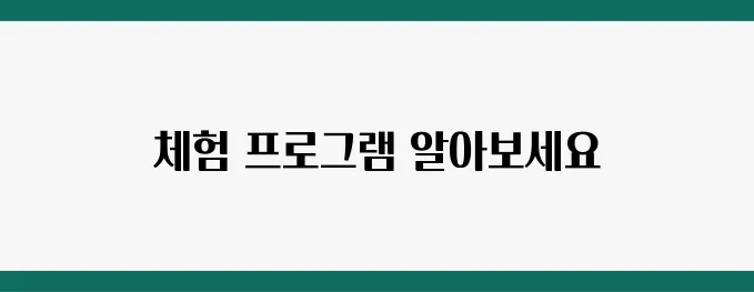 국립어린이과학관 예약 방법 & 체험 프로그램 총정리