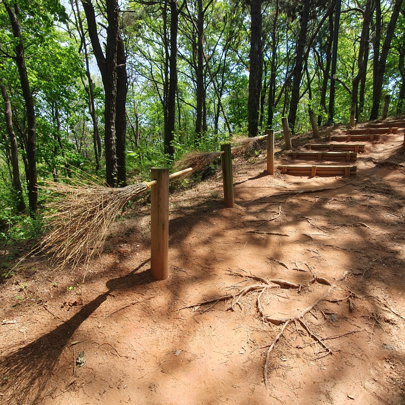 맨발 걷기 좋은 산책길
