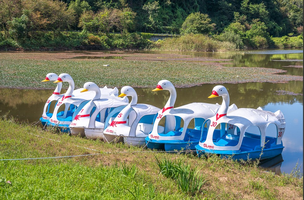 파주-하니랜드-사진