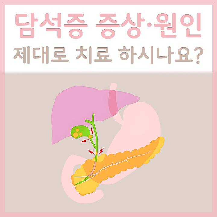 담석증이-있는-담낭의-모습