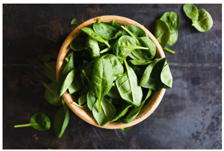 건강생활 실천지원금제 신청방법