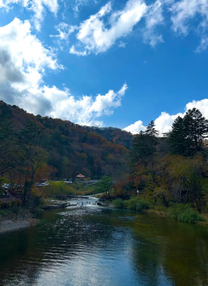 이제연 인스타사진