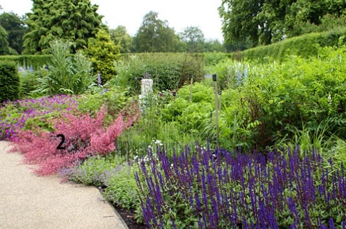 가을에 피는 꽃 자주달개비