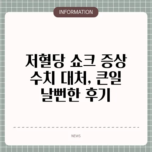 저혈당 쇼크 증상 수치 대처, 큰일 날뻔한 후기