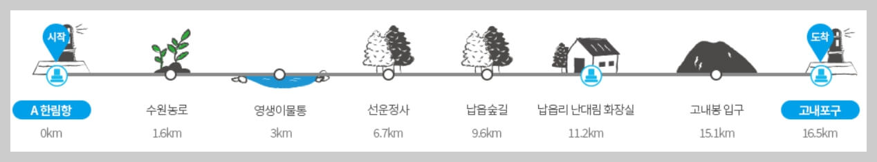 겨울의 고요함을 만끽할 수 있는 제주 올레길 추천 코스 3곳