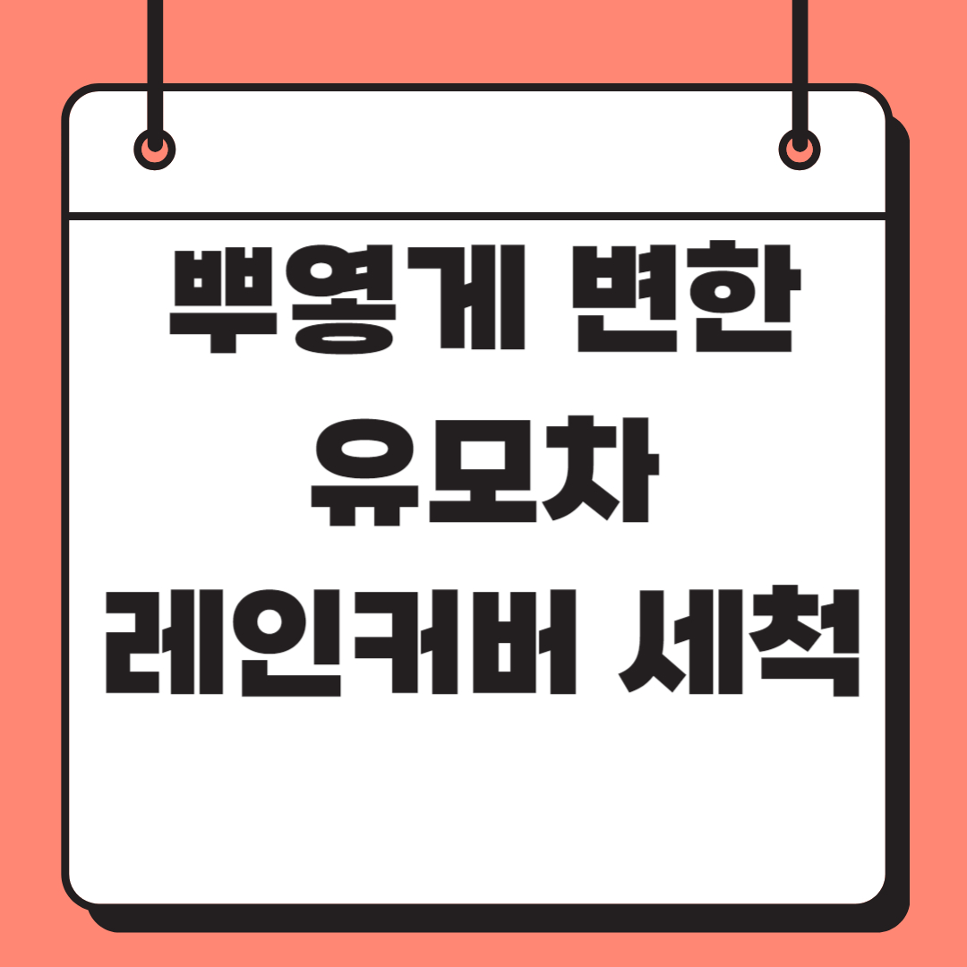 뿌옇게 변한 유모차 레인커버 관련 사진