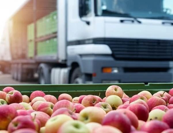 푸드 마일리지 뜻