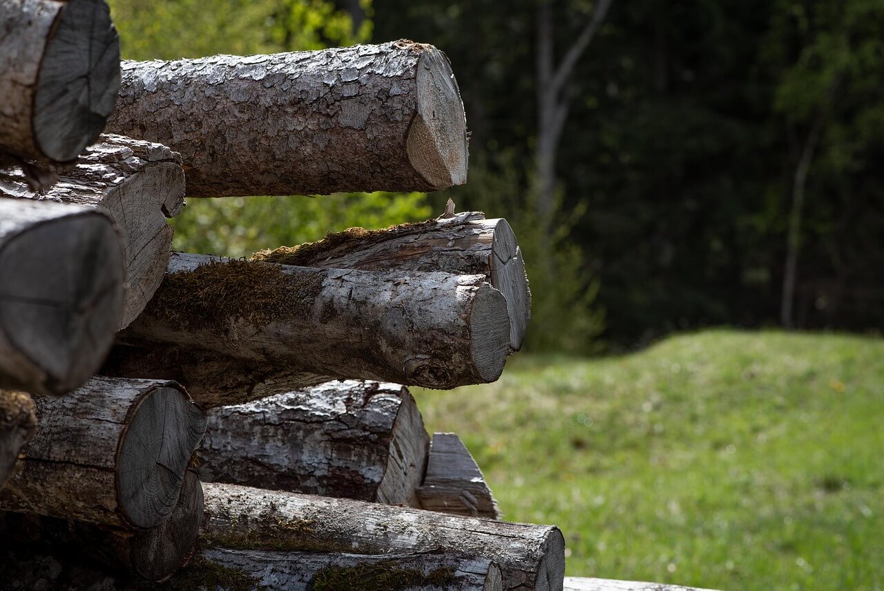 2025년 임업직불금 신청 가이드 필수 조건 신청 방법