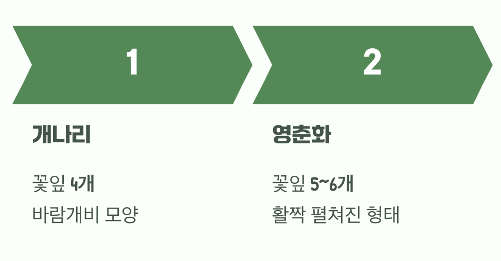 가장 확실한 단서, 꽃잎을 세어보세요