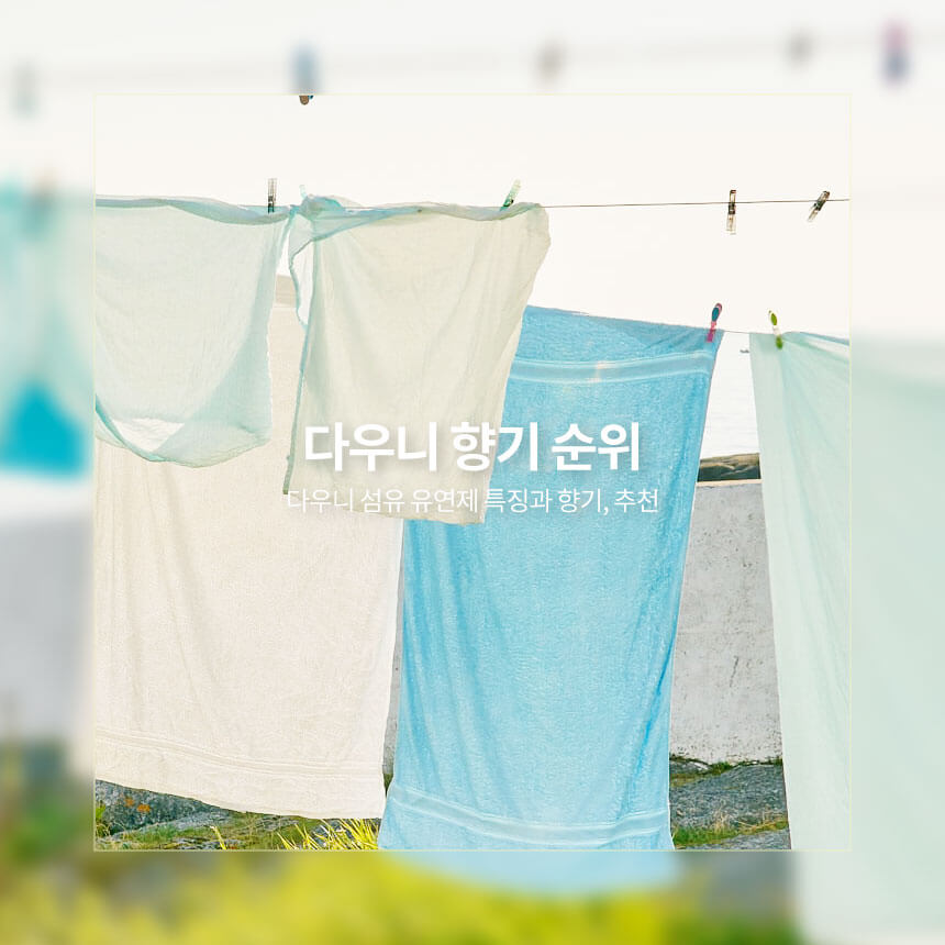 다우니 향기 순위&#44; 특징&#44; 추천