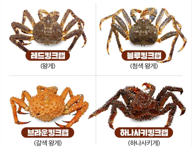킹크랩종류