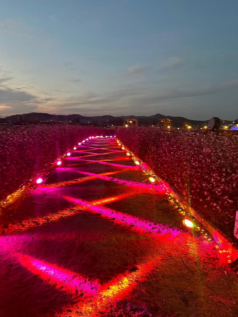 철원 고석정 꽃축제