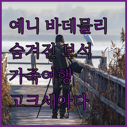 예니 바데믈리 코누크 에비, 고크세아..