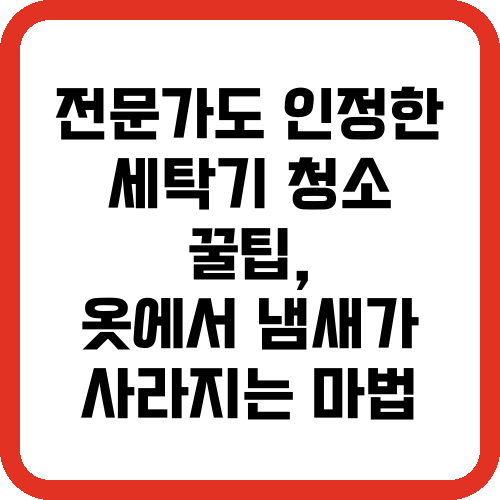 전문가도 인정한 세탁기 청소 꿀팁, 옷에서 냄새가 사라지는 마법