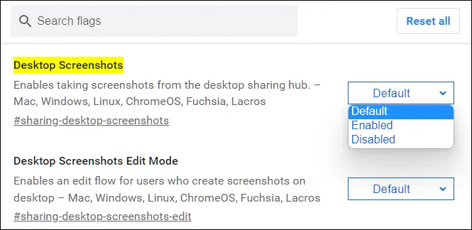 chrome_screenshot_enable_2