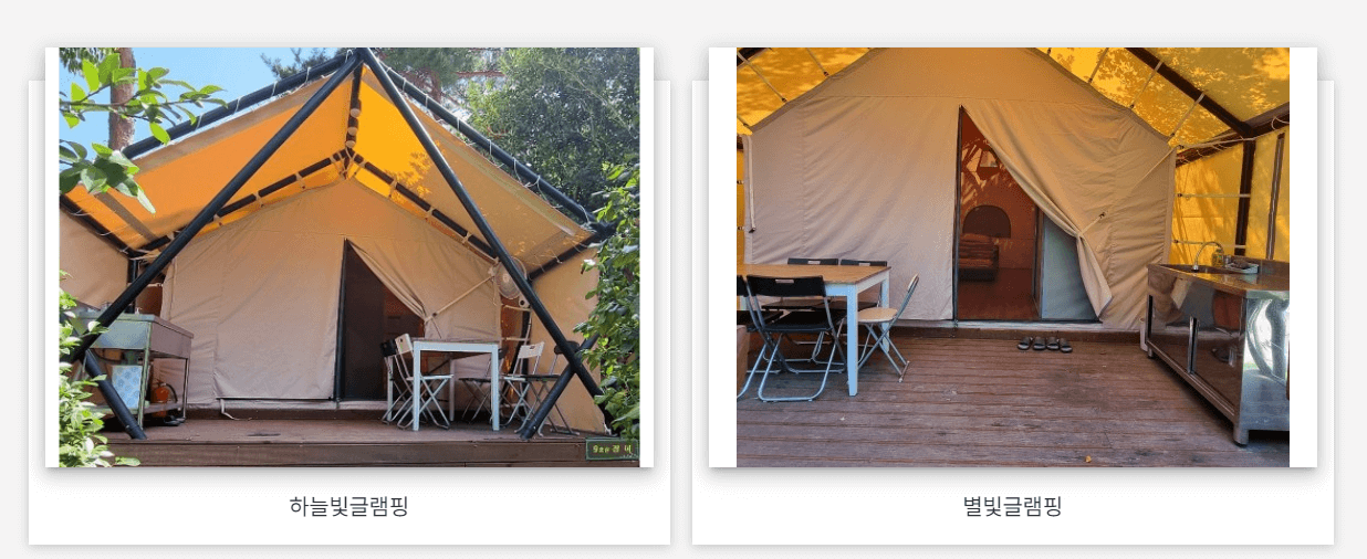 장흥 하늘빛수목정원 튤립축제