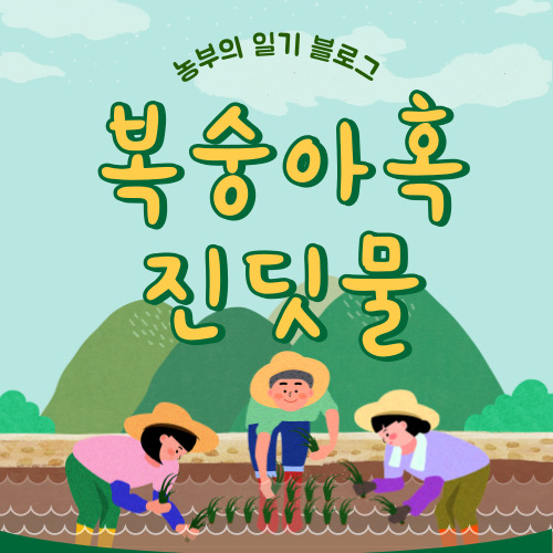 복숭아혹진딧물