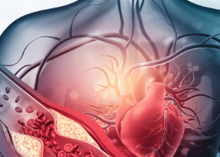 hdl 콜레스테롤 이란? 정상수치 및 높이는 방법